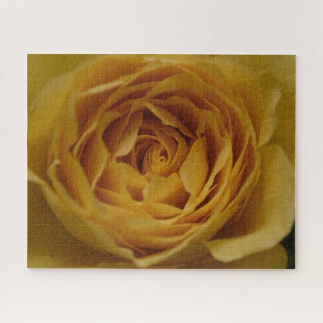Yellow Rose Jigsaw Puzzle (Horizontal)