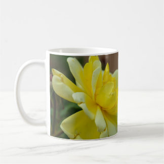 Yellow Rose Kaffeetasse