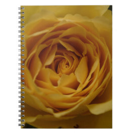 Yellow Rose Notebook Notizblock