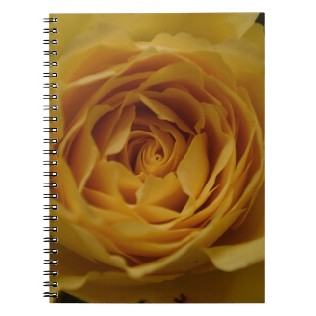 Yellow Rose Notebook Notizblock (Vorderseite)