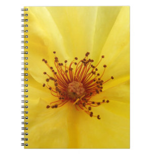 Yellow Rose Notebook Notizblock