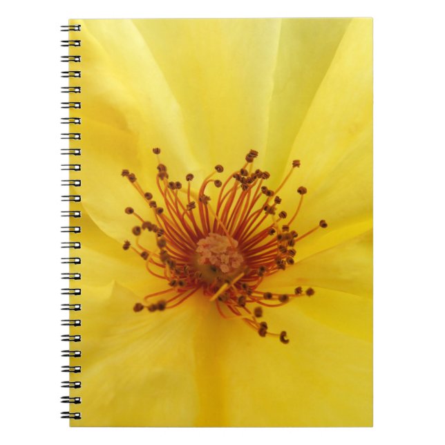 Yellow Rose Notebook Notizblock (Vorderseite)