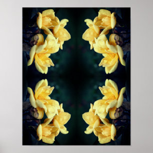 Yellow Rose Trio Abstrakt Poster