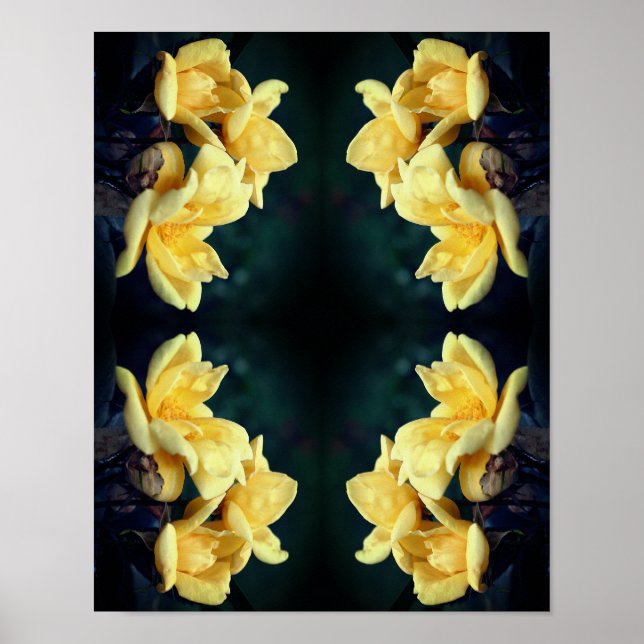 Yellow Rose Trio Abstrakt Poster (Vorne)