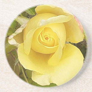 Yellow Rosenknospe Sandstone Untersetzer