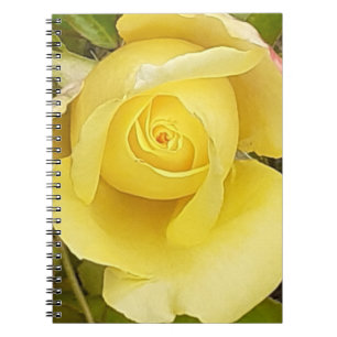 Yellow Rosenknospe Spiral Notebook Notizblock