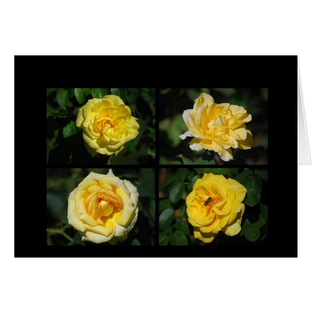 Yellow Roses Collage Card (Vorderseite (Horizontal))