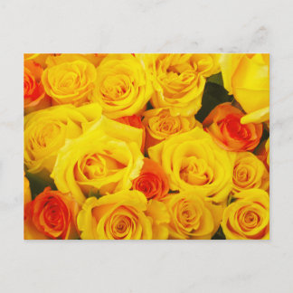 Yellow Roses Paris Postkarte