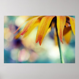 Yellow Rudbeckia Blume Petal Macro Abstrakt Poster
