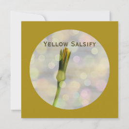 Yellow Salsify Blume mit Bokeh auf Dark Goldenrod Feiertagskarte