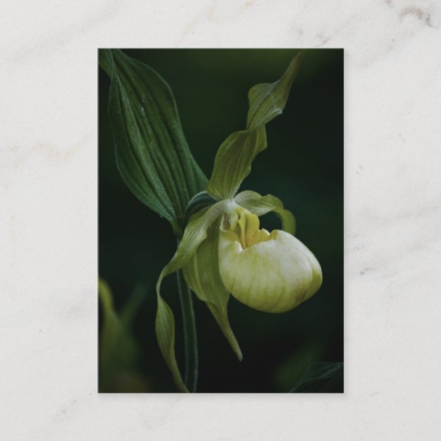 Yellow Slipper Mini Print Visitenkarte (Vorderseite)