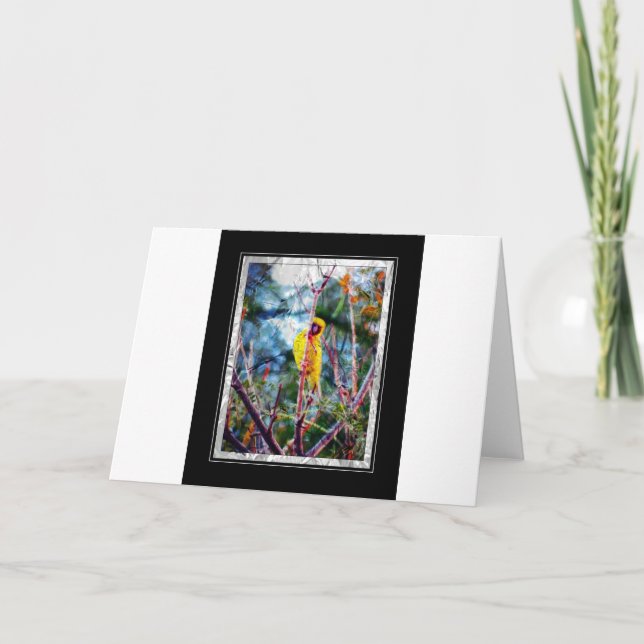 Yellow Song Karte (Vorderseite)