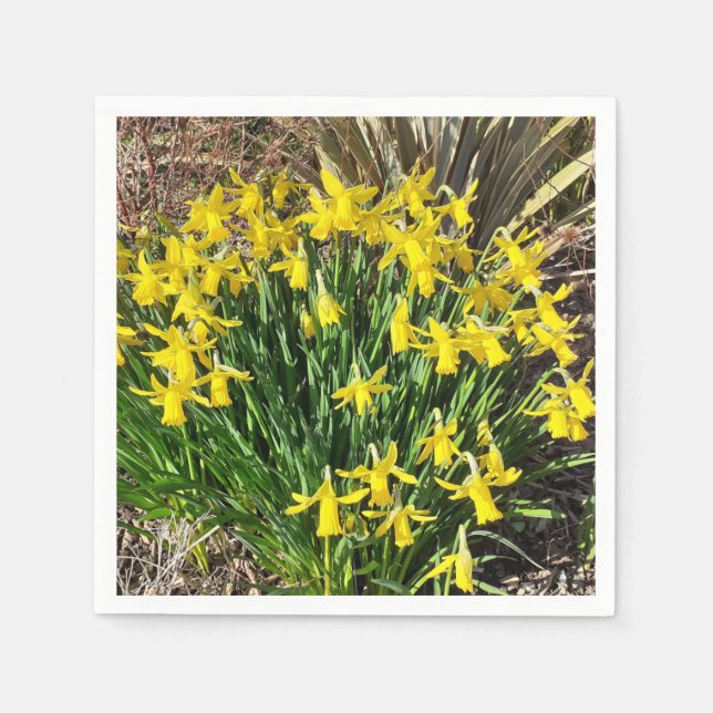 Yellow Spring Daffodien Paper Napkin Serviette (Vorderseite)