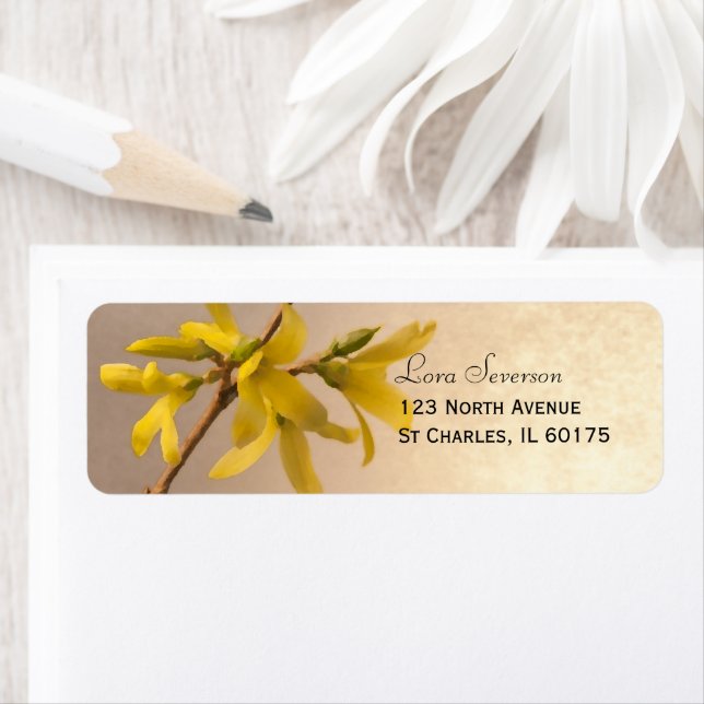 Yellow Spring Forsythia Blume Rücksendeadresse (Insitu)