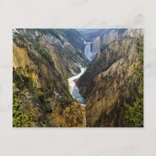 Yellow Stone Park Postcard Postkarte