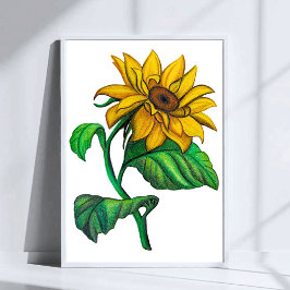 Yellow Sunflower Drawing Colored Pencil Art Poster
