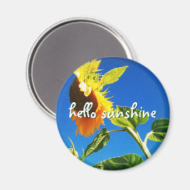 Yellow Sunflower Foto Hello Sunshine Script Bold Magnet