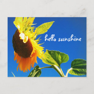 Yellow Sunflower Foto Hello Sunshine Script Bold Postkarte