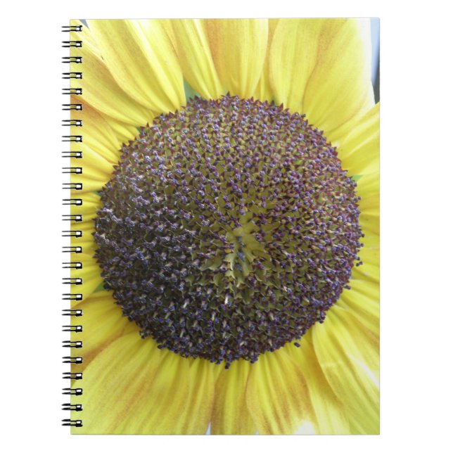 Yellow Sunflower Notebook Notizblock (Vorderseite)