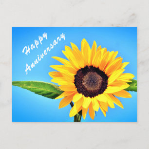 Yellow Sunflower on Blue Sky Anniversary Postcard Postkarte