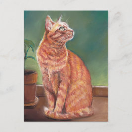 Yellow Tabby Cat Pasta Art Postkarte