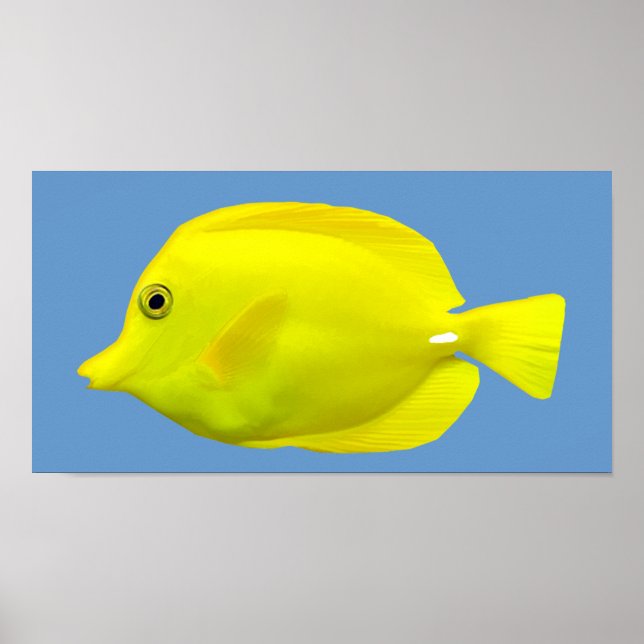 Yellow Tang Tropical Fish Poster (Vorne)
