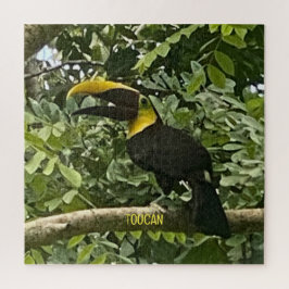 Yellow-Throated Toucan Costa Rica Design Puzzle