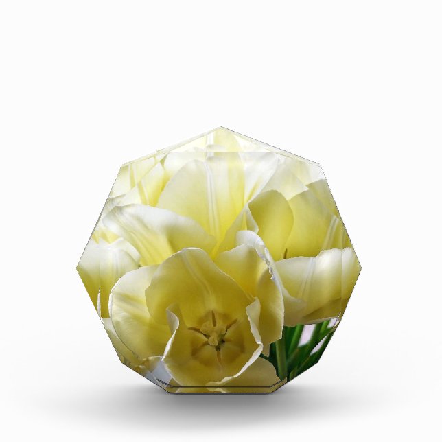 Yellow Tulip Bouquet Fotoblock (Vorderseite)