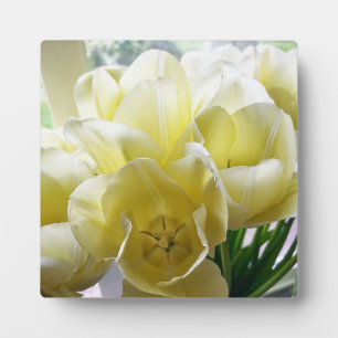 Yellow Tulip Bouquet Fotoplatte