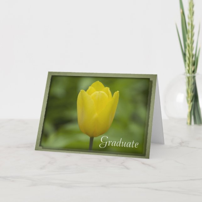 Yellow Tulip Graduierung Gratulationen Karte (Vorderseite)