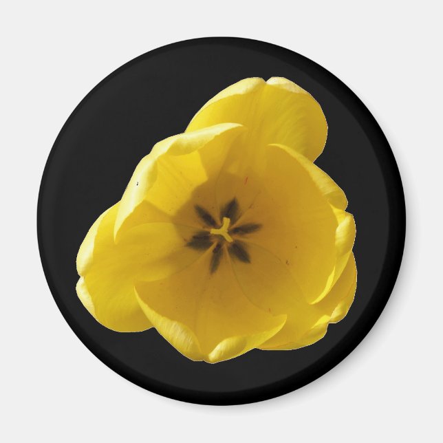 Yellow Tulip Magnet (Vorne)