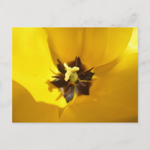 Yellow Tulip Nah Up DIY Postkarte