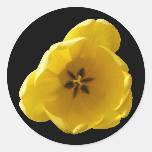Yellow Tulip Sticker (Vorderseite)
