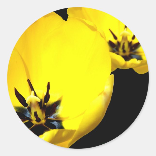 Yellow Tulip Stickers (Vorderseite)