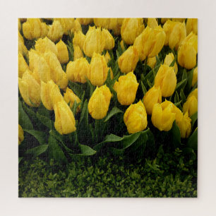 Yellow Tulips Jigsaw Puzzle