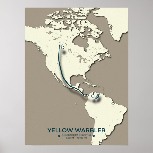 Yellow Warbler Migration Map - Minimalistisch Vint Poster (Vorne)