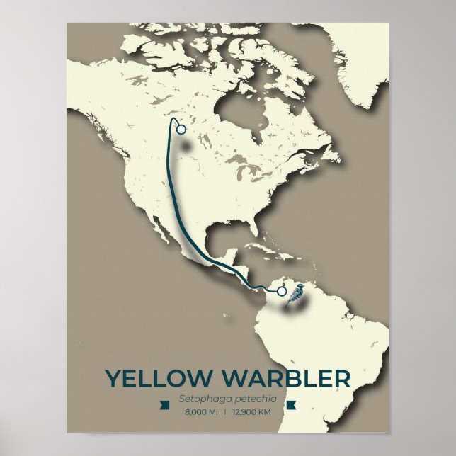 Yellow Warbler Migration Map - Minimalistisch Vint Poster (Vorne)