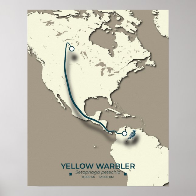Yellow Warbler Migration Map - Minimalistisch Vint Poster (Vorne)