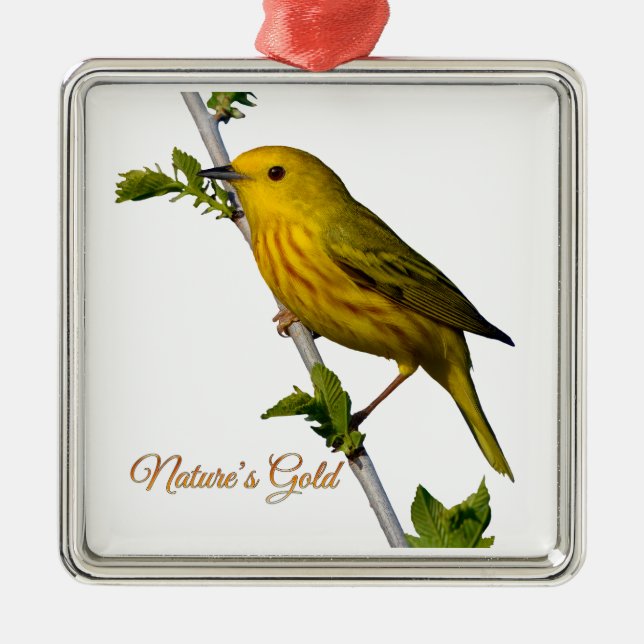 Yellow Warbler "Nature's Gold" Weihnachtsschmuck (Vorne)
