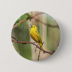 Yellow Warbler Singing Button