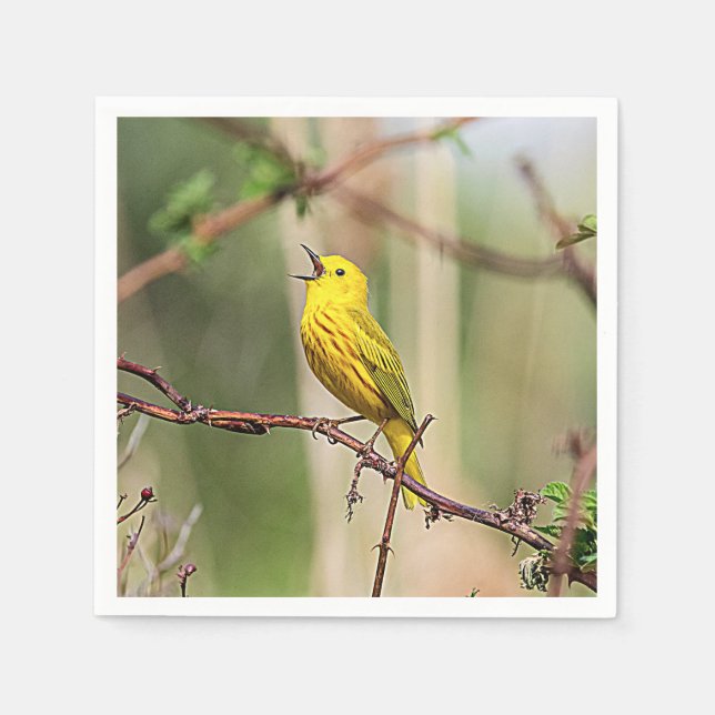 Yellow Warbler Singing Serviette (Vorderseite)