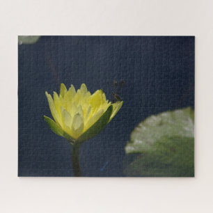 Yellow Wasserlilie Dragonfly Jigsaw Puzzle