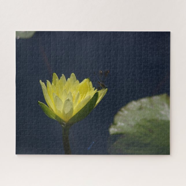 Yellow Wasserlilie Dragonfly Jigsaw Puzzle (Horizontal)
