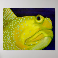 Yellow Watchman Goby Fish