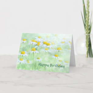 Yellow White Daisies zum Geburtstag Karte