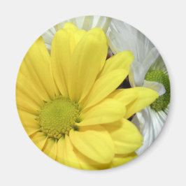 Yellow White Daisy Daisis Blume Blume Foto Magnet