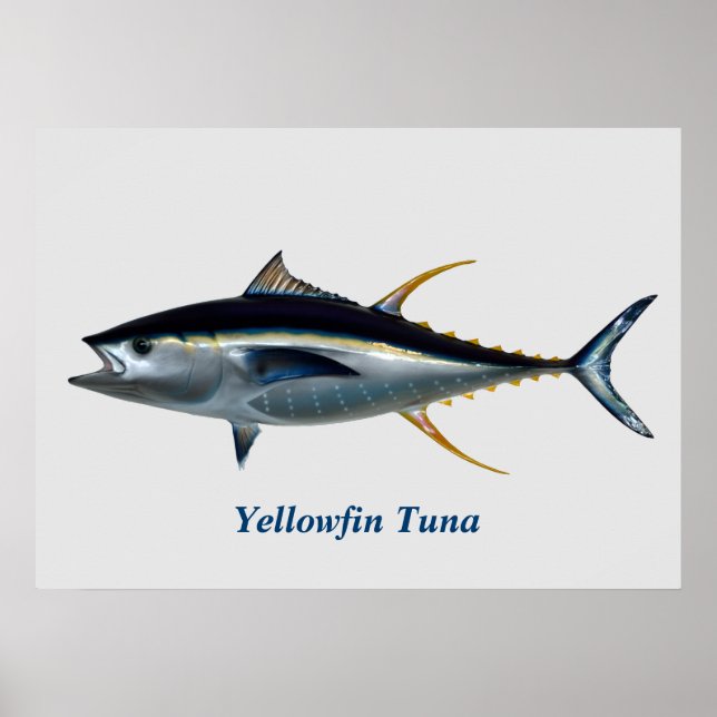 Yellowfin-Poster Poster (Vorne)