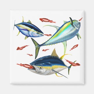 Yellowfin-Tintenfisch Magnet