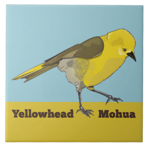 Yellowhead Mohua Fliese