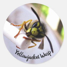 Yellowjacke Wasp (Vespulae) Niedlich Runder Aufkleber